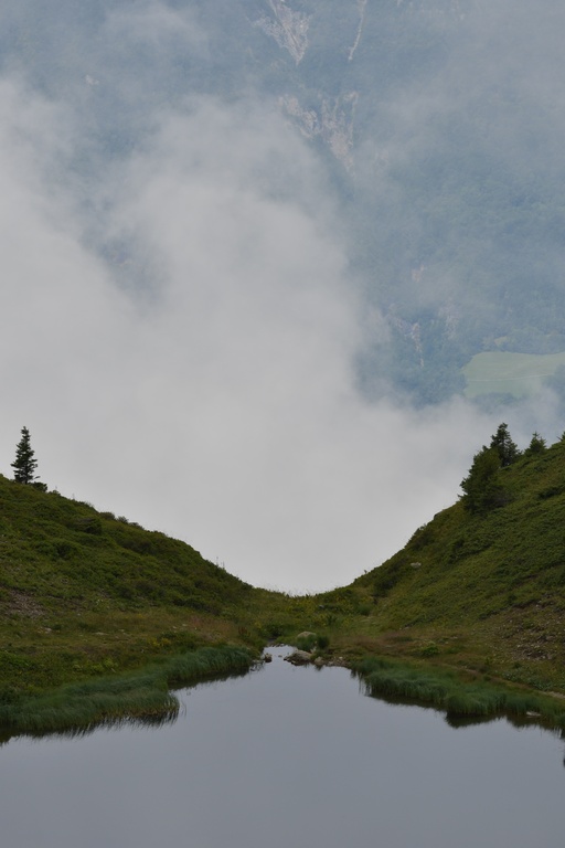 2019-08 Savoie/La Tuile/DSC_1288.JPG